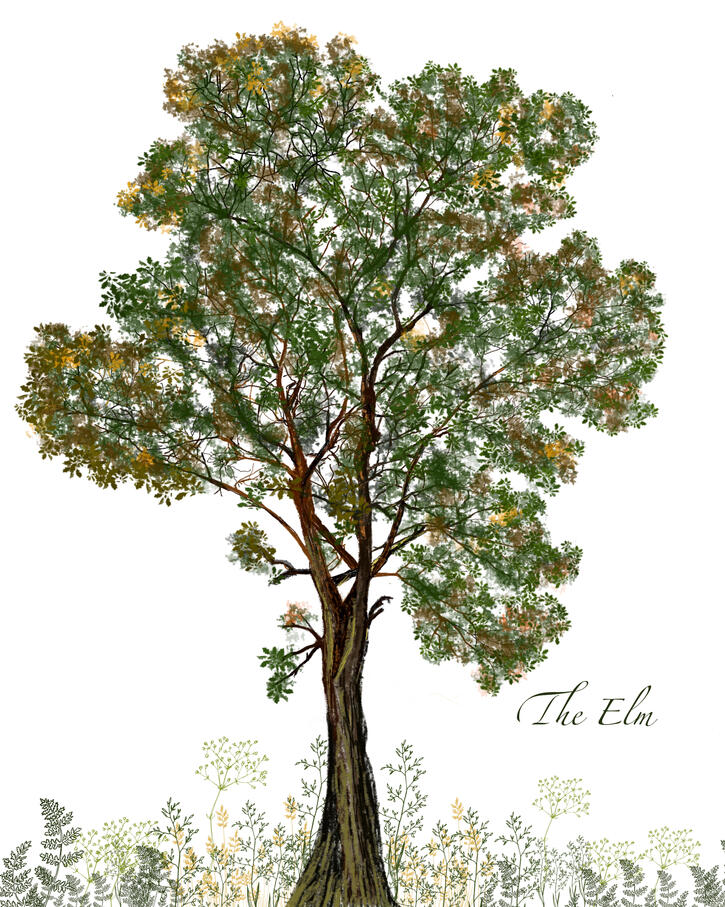 Lo mas reciente es la pintura digital.